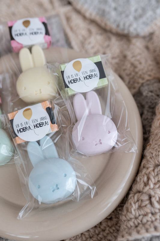 De liefste feestjes vier je met een Nijntje traktatie!