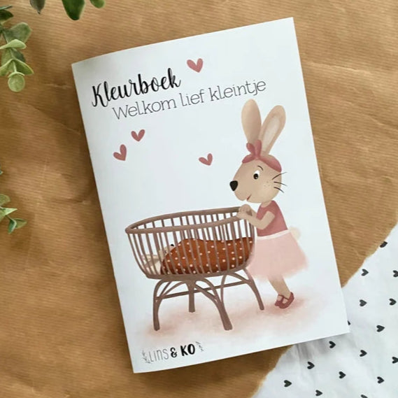 Geboorte kleurboekje roze - stoepkrijtmeid