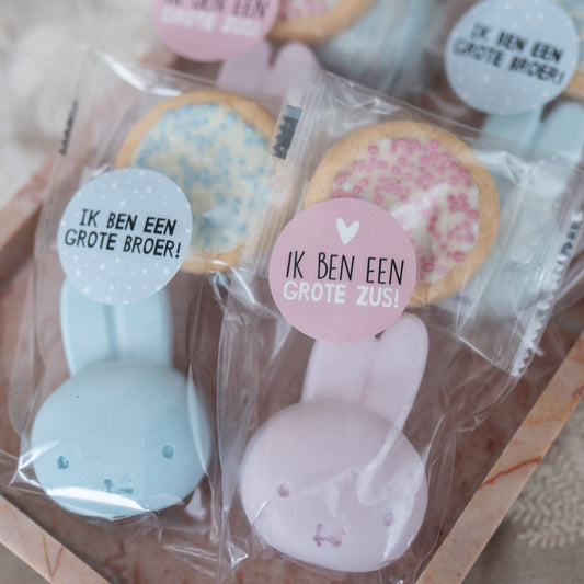 Geboorte traktatie nijntje